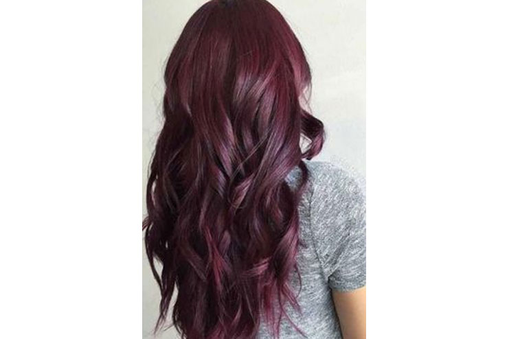 Plum brown hair color