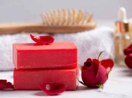 10 Alluring Deodorant Soap For Female To Smell Good All Day Long Deodorant-Soaps-for-Female