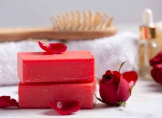 10 Alluring Deodorant Soap For Female To Smell Good All Day Long Deodorant-Soaps-for-Female